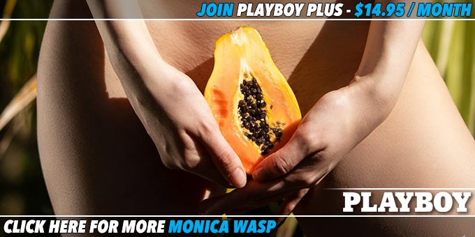 Monica-Wasp-Tropical-Passions-banner